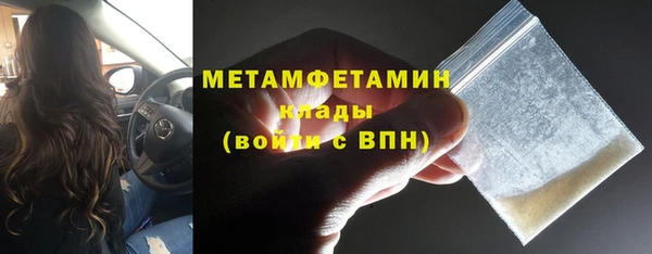 трава Медвежьегорск