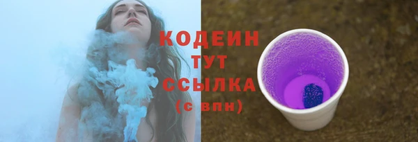 трава Медвежьегорск