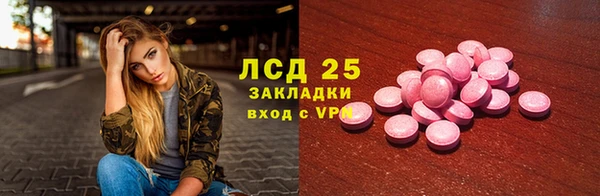 трава Медвежьегорск