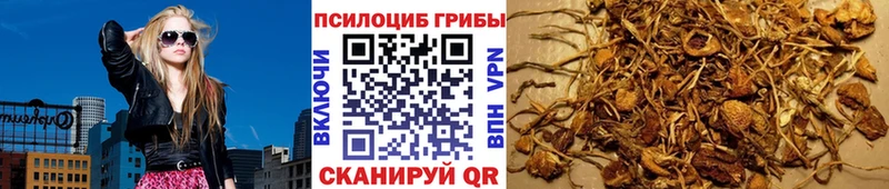 Галлюциногенные грибы прущие грибы  Купить  Светлогорск 